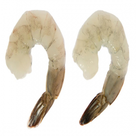 Shrimp 13/15 P&D T/On