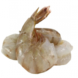 Shrimp 16/20 P&D T/On