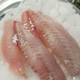 Snapper fillet 08/10