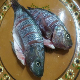 Whole Mojarra Black 750/950 G